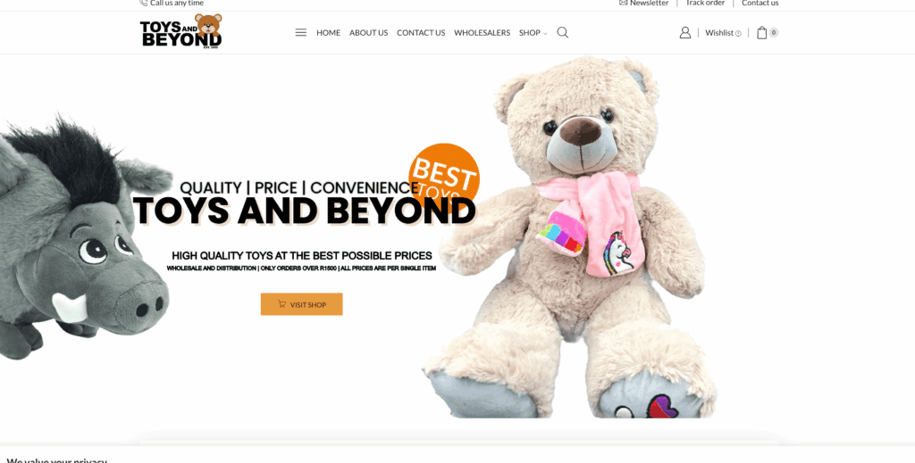 Best Dropshipping Suppliers in South Africa